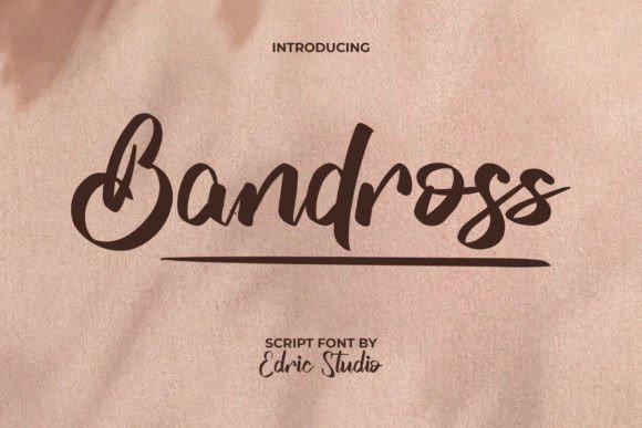 Bandross: A Designer’s Take on Its Real-World Use