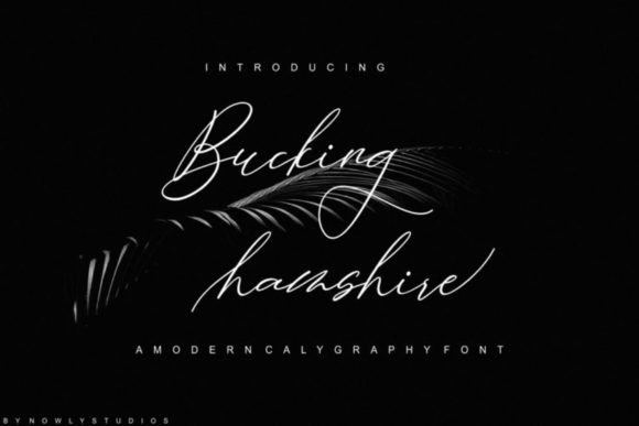 Bucking Hamshire Font: Elevate Your Small Business Brand