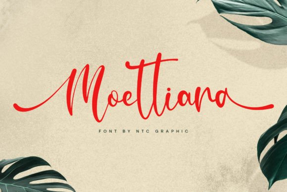 Moettiara Font: A Minimalist Script for Branding